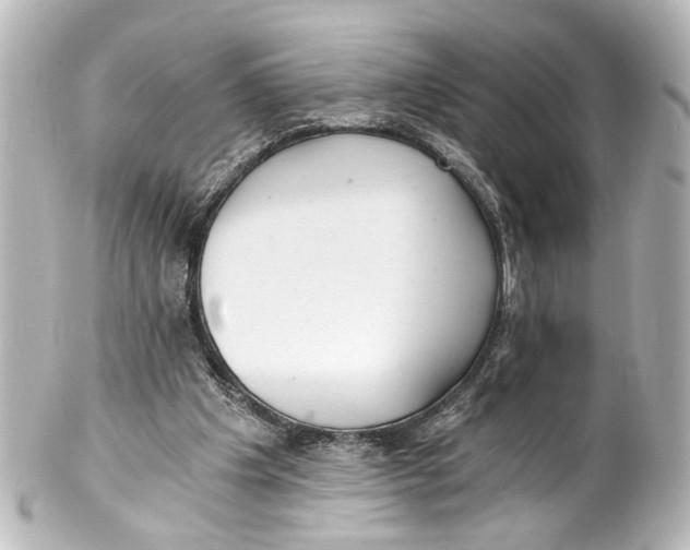 X0000101440201200807281030