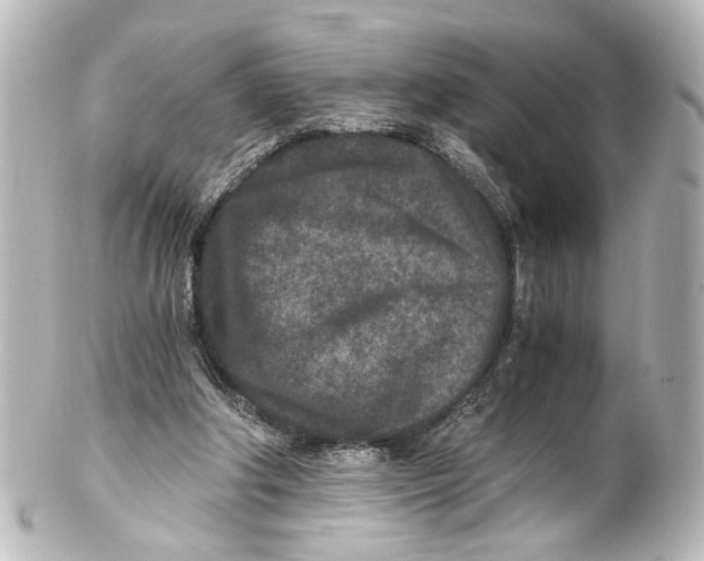 X0000101440202200807281030