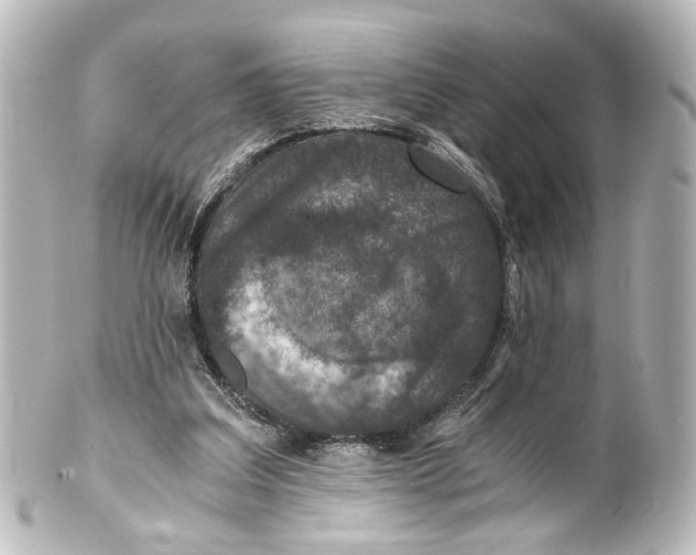 X0000101440203200807281030