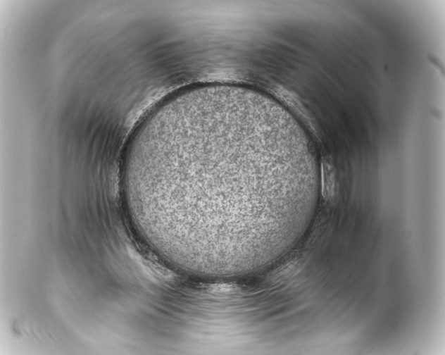 X0000101440204200807281030