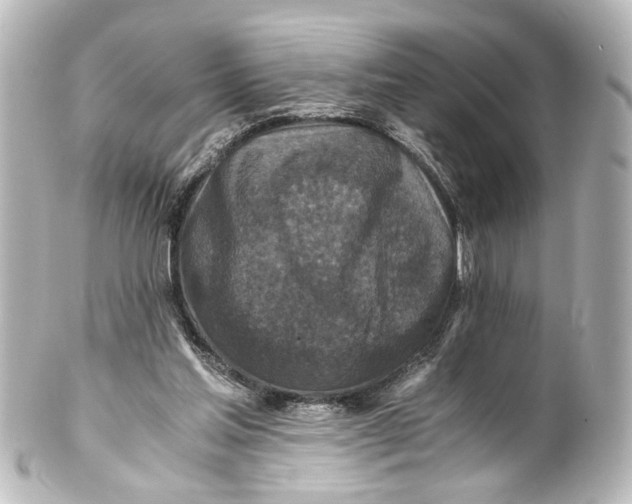 X0000101440205200807281030