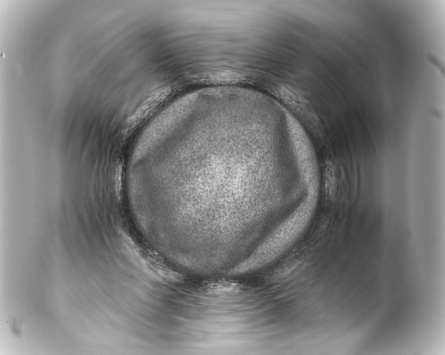 X0000101440206200807281030