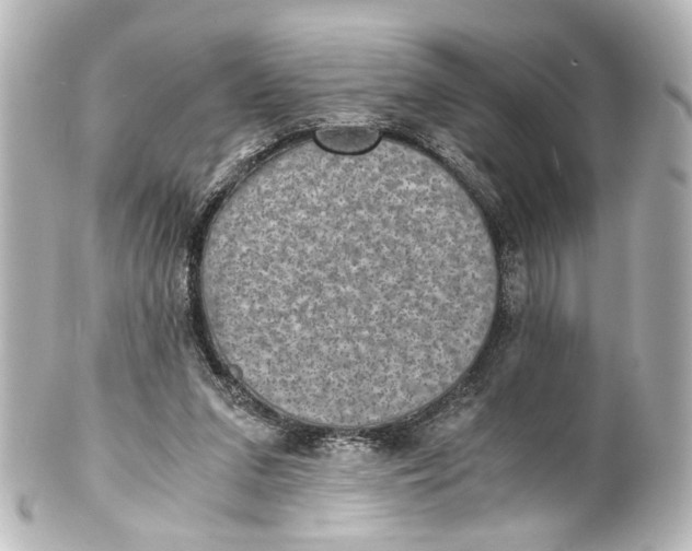 X0000101440207200807281030