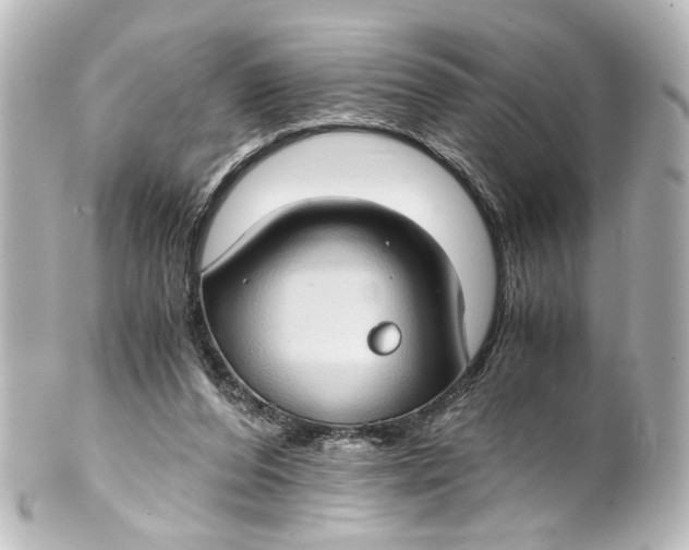 X0000101440208200807281030