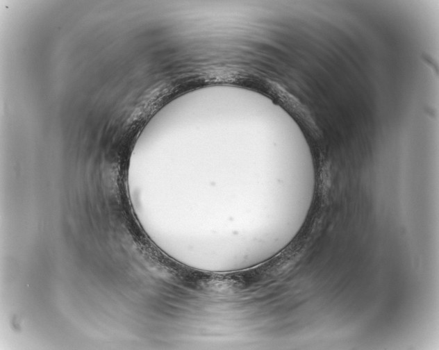 X0000101440209200807281030