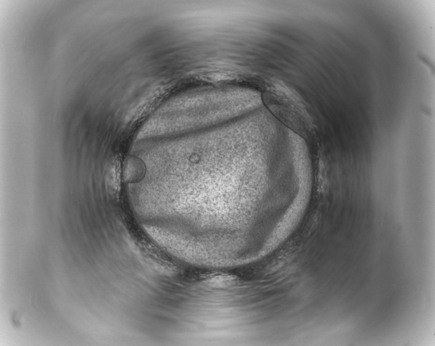 X0000101440210200807281030