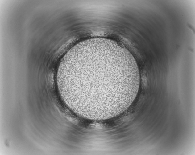 X0000101440211200807281030