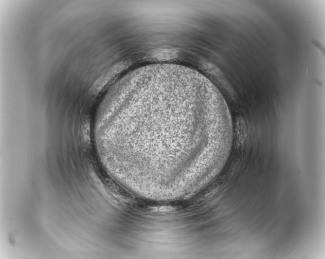 X0000101440212200807281030