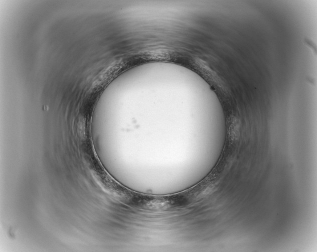 X0000101440213200807281030