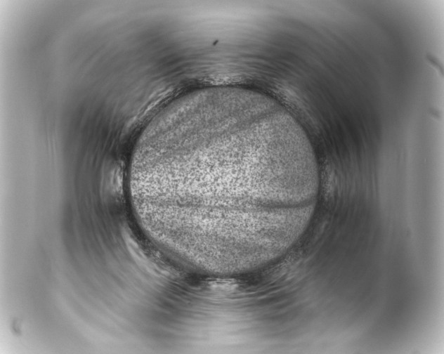 X0000101440214200807281030