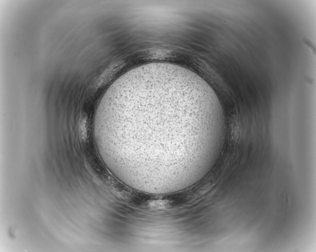 X0000101440216200807281030