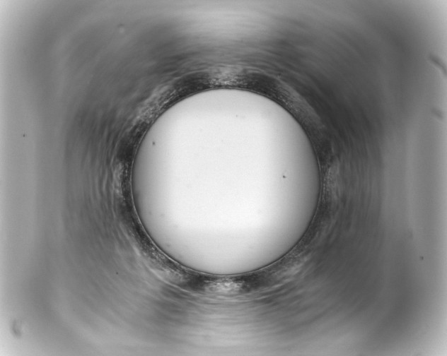 X0000101440217200807281030