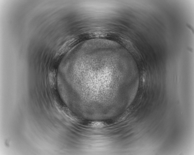 X0000101440218200807281030