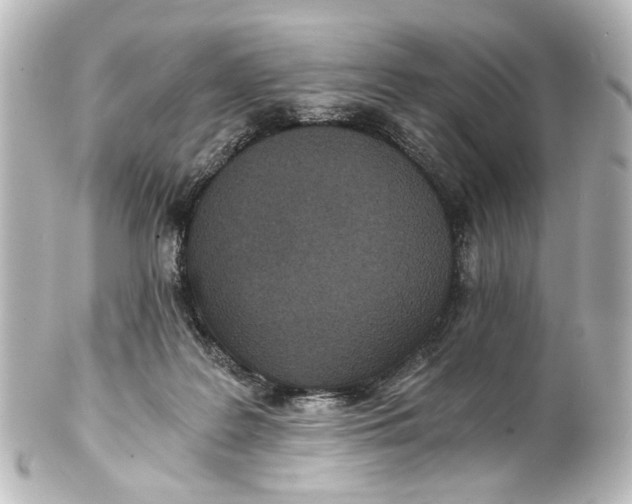 X0000101440219200807281030