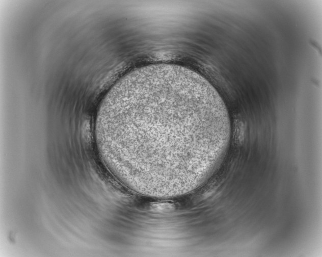 X0000101440220200807281030