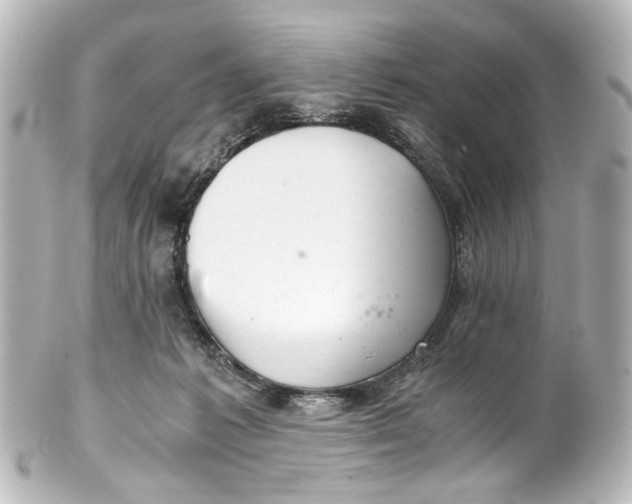 X0000101440221200807281030