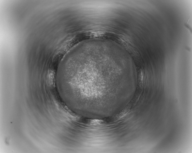 X0000101440222200807281030