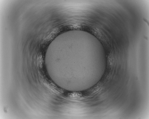 X0000101440223200807281030