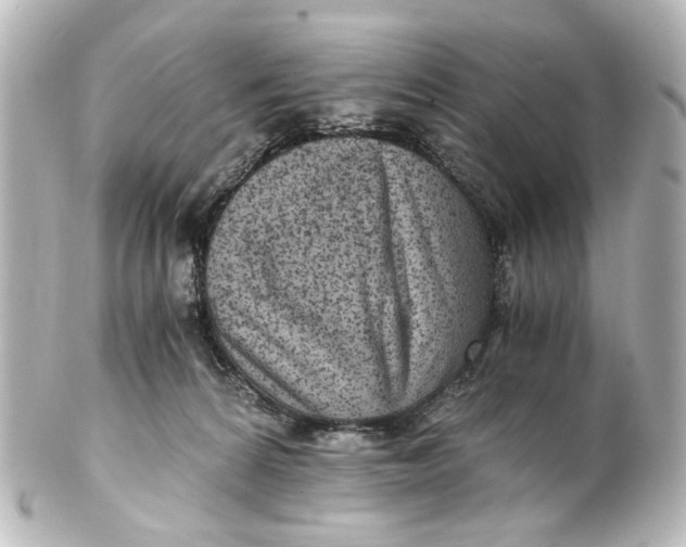 X0000101440224200807281030