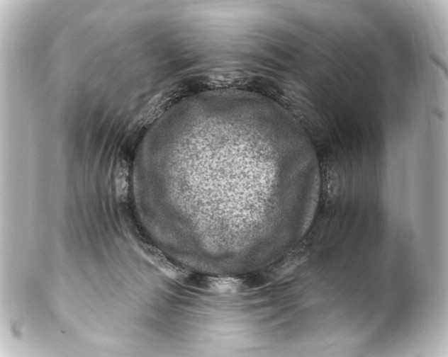 X0000101440226200807281030