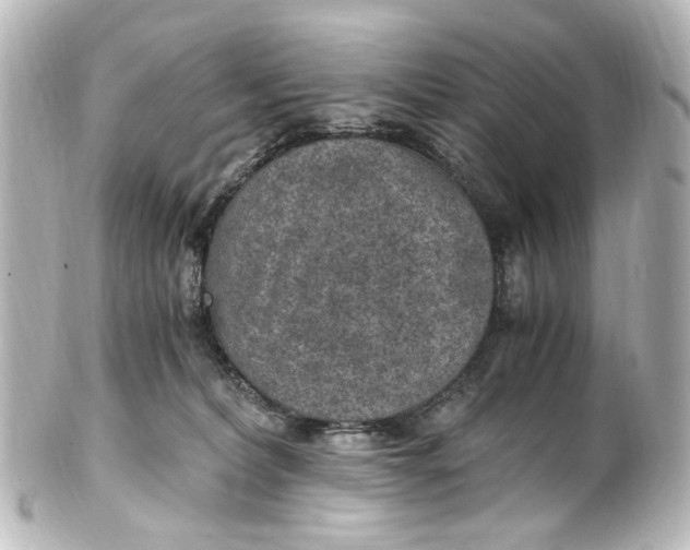 X0000101440228200807281030