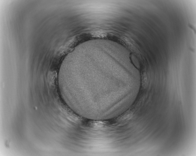 X0000101440229200807281030