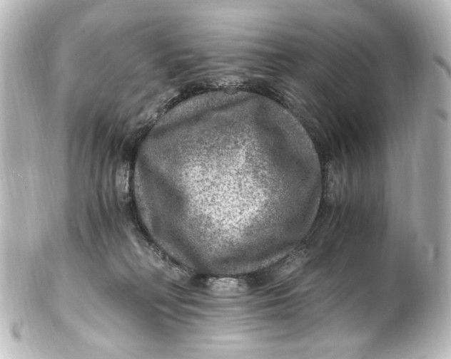 X0000101440230200807281030