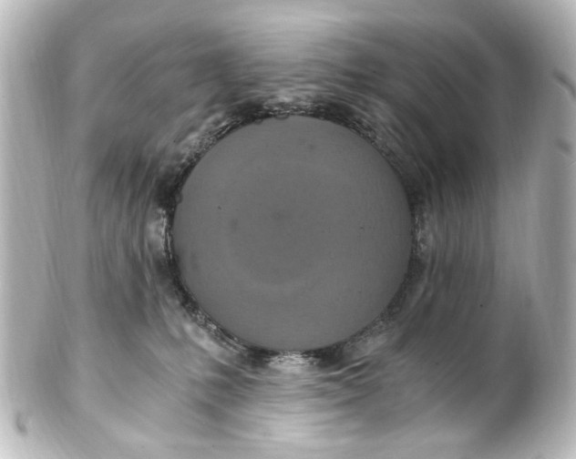 X0000101440231200807281030