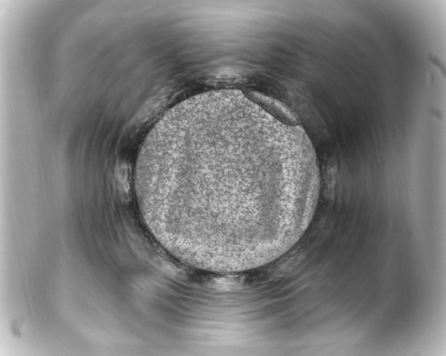 X0000101440232200807281030