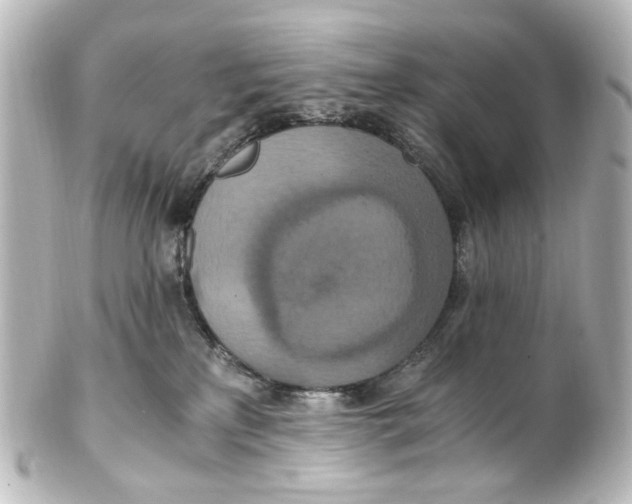 X0000101440233200807281030