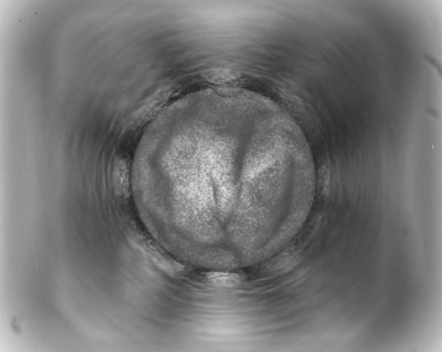 X0000101440234200807281030