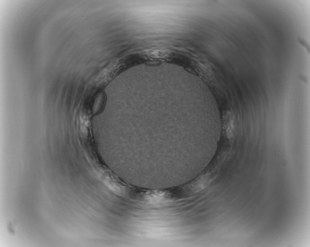 X0000101440235200807281030