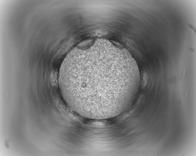 X0000101440236200807281030