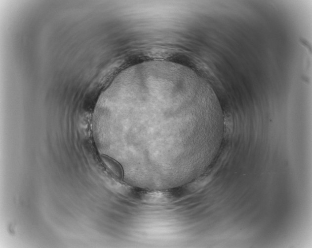 X0000101440237200807281030