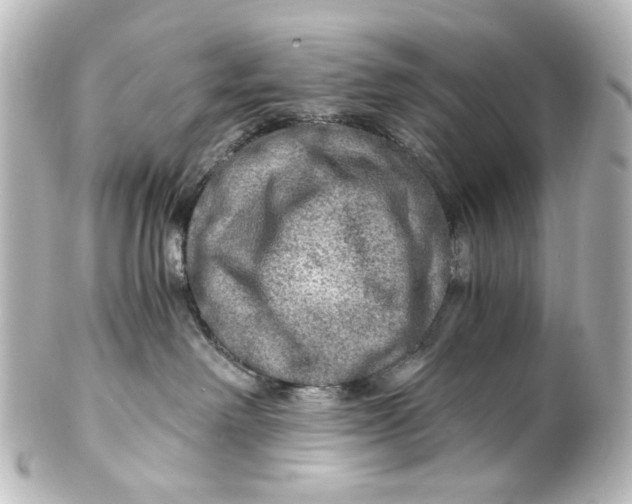 X0000101440238200807281030