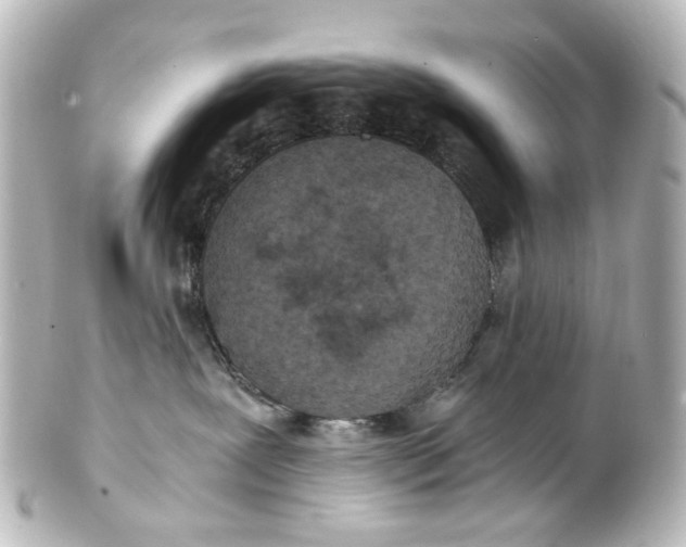 X0000101440239200807281029