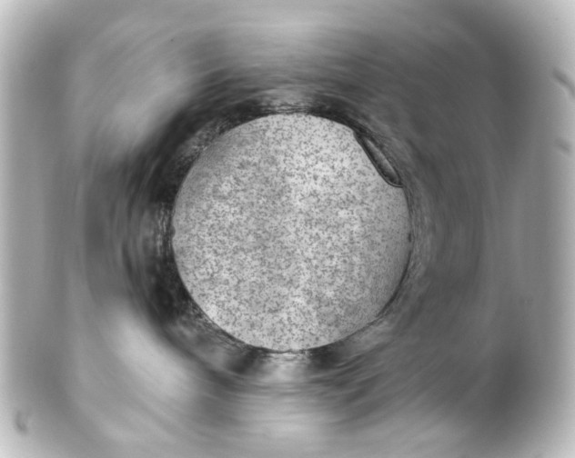 X0000101440240200807281029