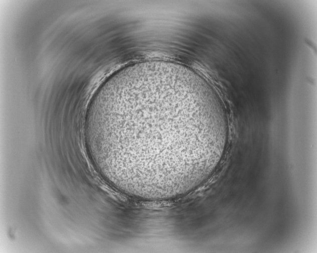 X0000101440241200807281029