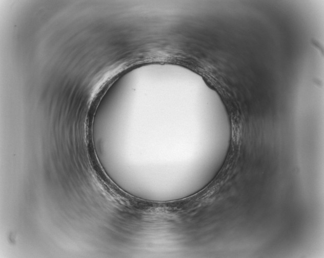 X0000101440244200807281029