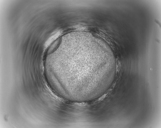 X0000101440245200807281029