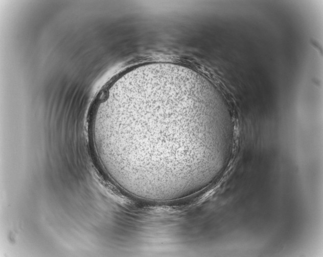 X0000101440246200807281029