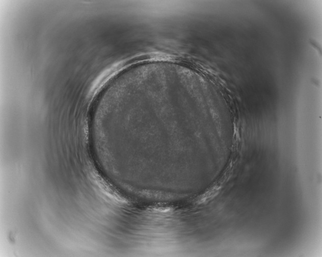 X0000101440247200807281029