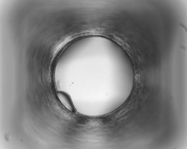 X0000101440248200807281029