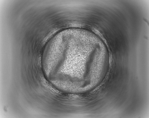 X0000101440249200807281029