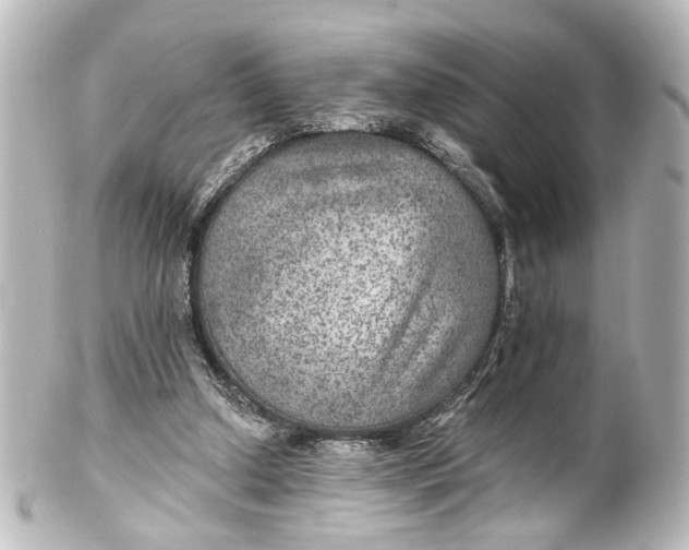 X0000101440250200807281029