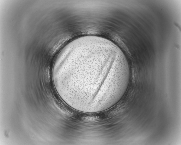 X0000101440251200807281029