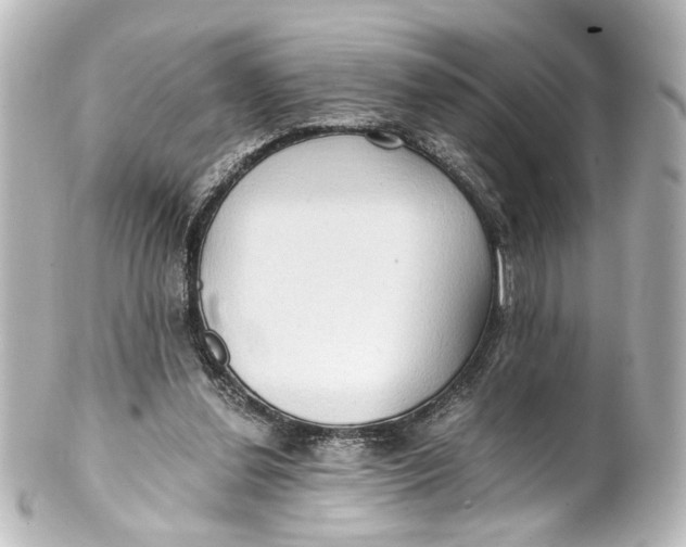 X0000101440252200807281029