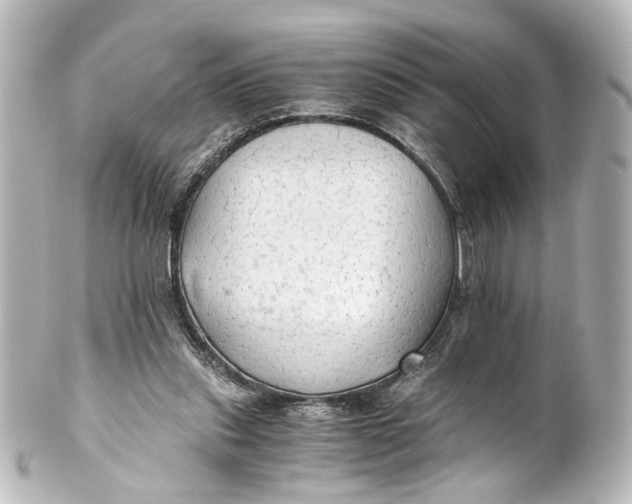 X0000101440253200807281029