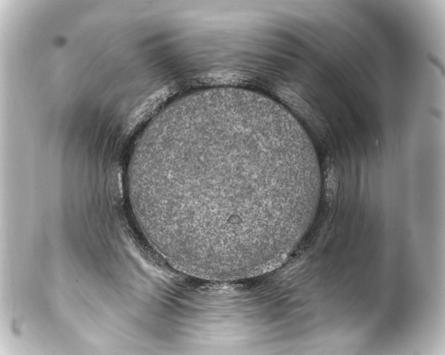 X0000101440254200807281029