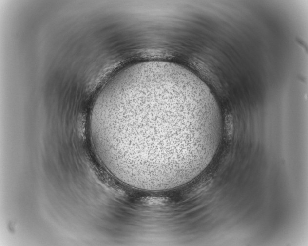 X0000101440255200807281029